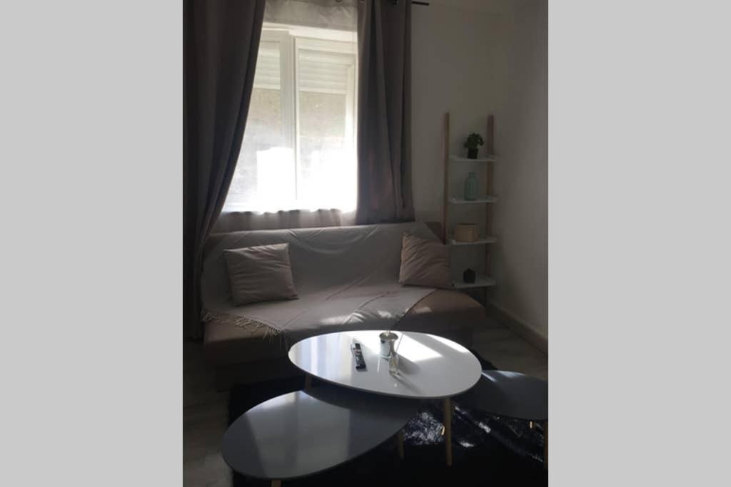 F2 Proche Gare Et Toute Commodite 샤토티에리 외부 사진